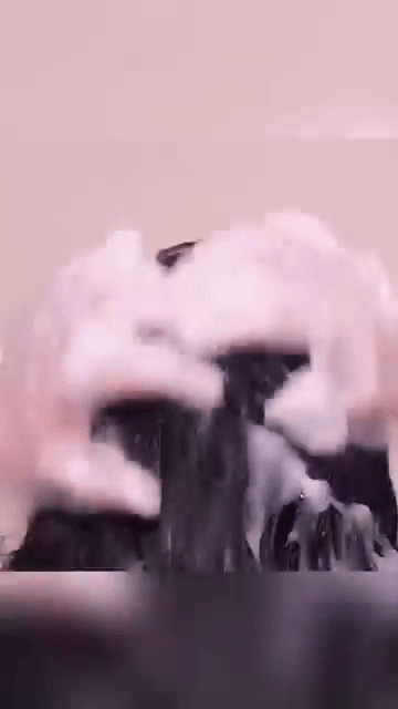 شامبو الزنجبيل للشعر الأسود