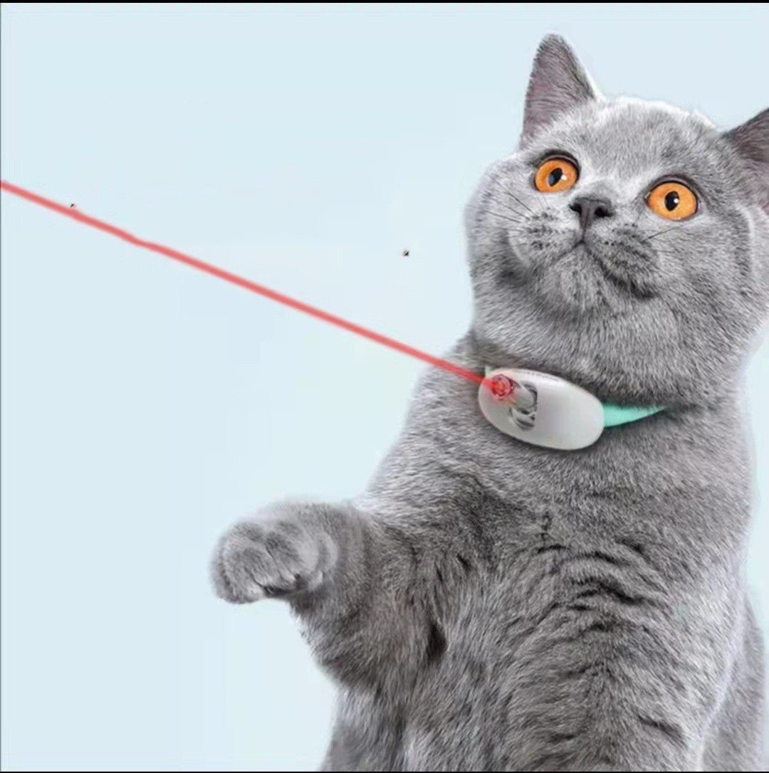 Automatic Cat Teaser Kitty Laser Pen Light Laser Light Infrared Funny Pet Toy - Zambeel