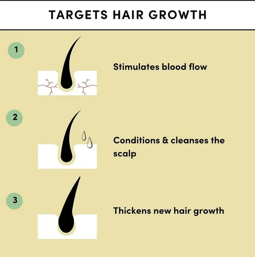 Hair Growth Oil - Zambeel