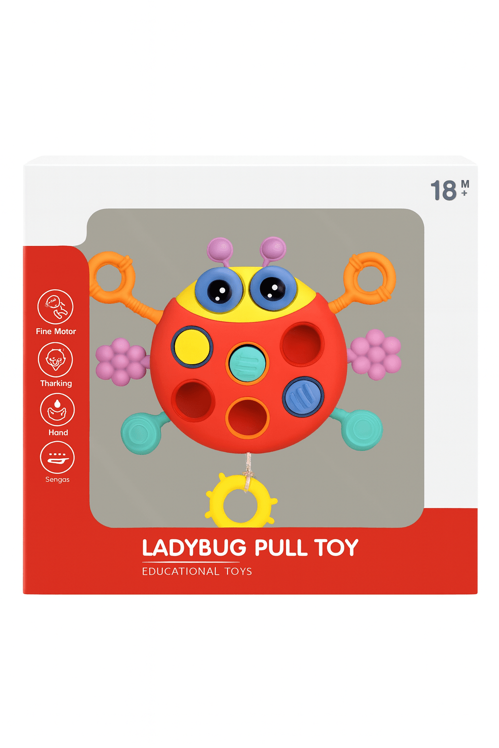 Ladybug Pull Toy - Zambeel