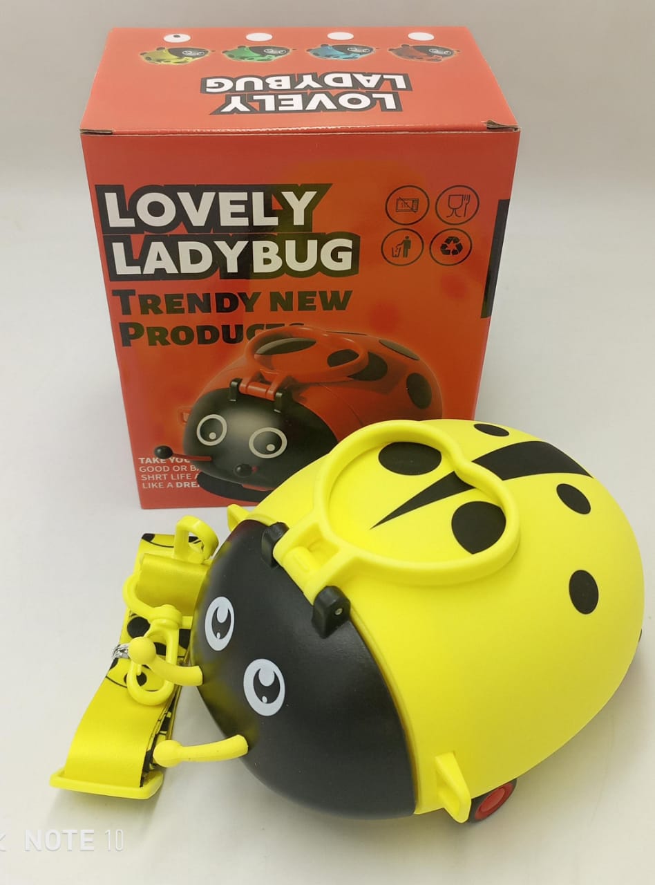 Ladybug Water Bottle - Zambeel