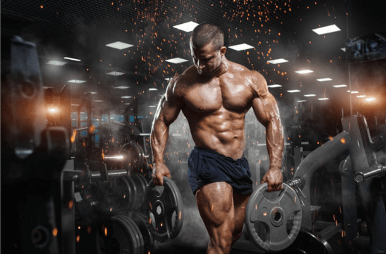 NP Nutrition - L - Glutamin & BCAA (Original) - Zambeel