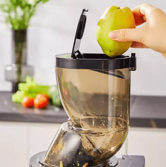 Nutrition Blender (GS - 601) - Zambeel