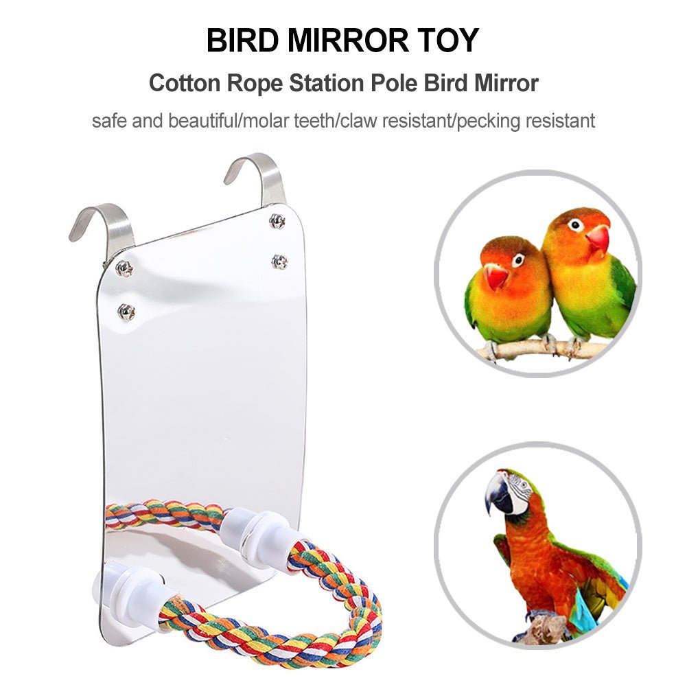 Parrot Toy Acrylic Bird With Mirror - Zambeel