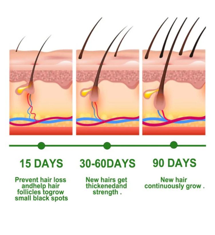 Rosemary Hair Care Essential Oil - Zambeel