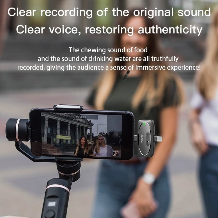 Single Wireless Microphone - Zambeel