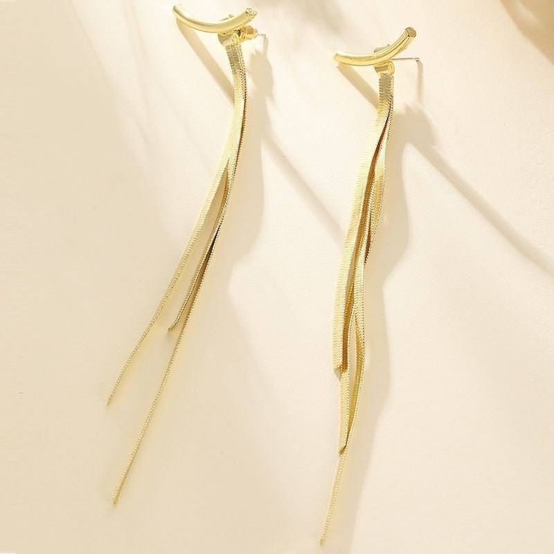 Tassel Earrings With Female Instagram Style Minimalist Design, Long Snake Bone Chain Earrings, Internet Famous Earrings - Zambeel