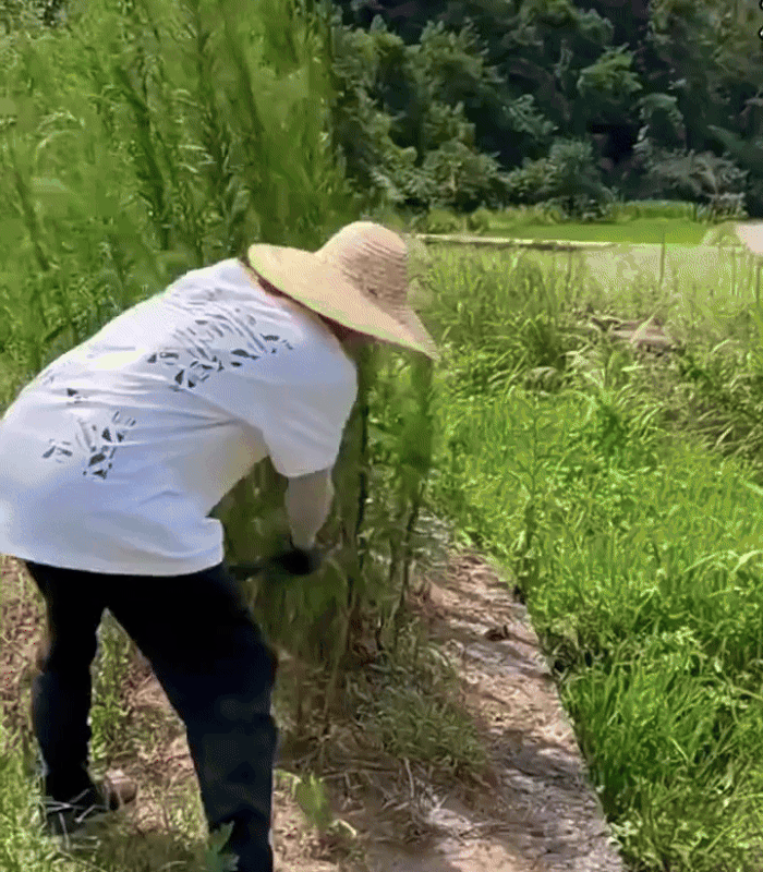 جزازة العشب متعددة الوظائف ©