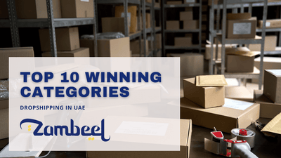 Top 10 Winning Dropshipping Niches in the UAE for 2025 - Zambeel