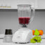 2 - in - 1 Blender - Zambeel