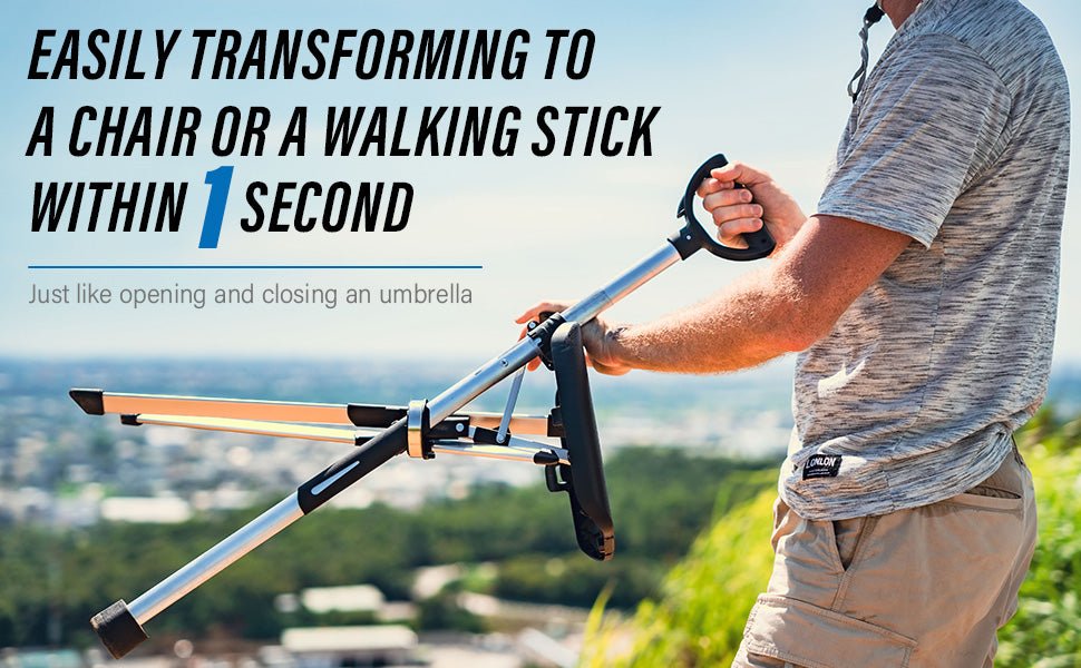 2 - in - 1 Cane with Seat - Zambeel