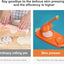2 - in - 1 Dumpling Maker - Zambeel