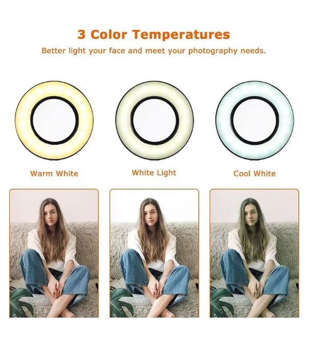 2 - in - 1 Universal Mobile Holder - Zambeel