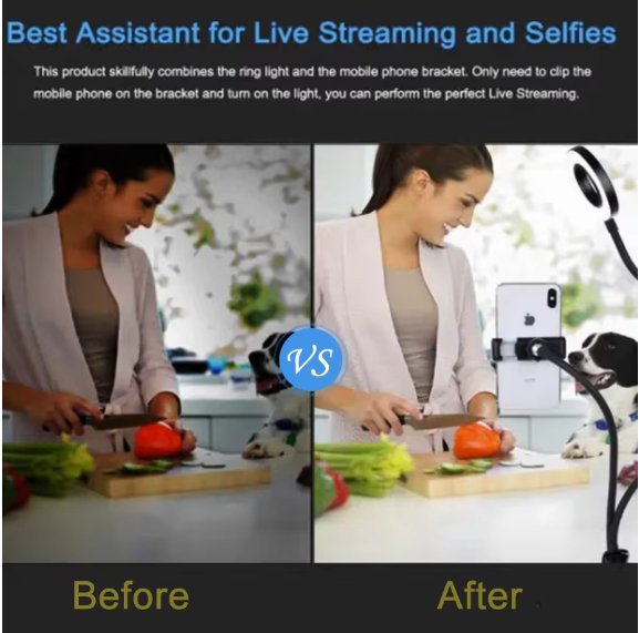 2 - in - 1 Universal Mobile Holder - Zambeel