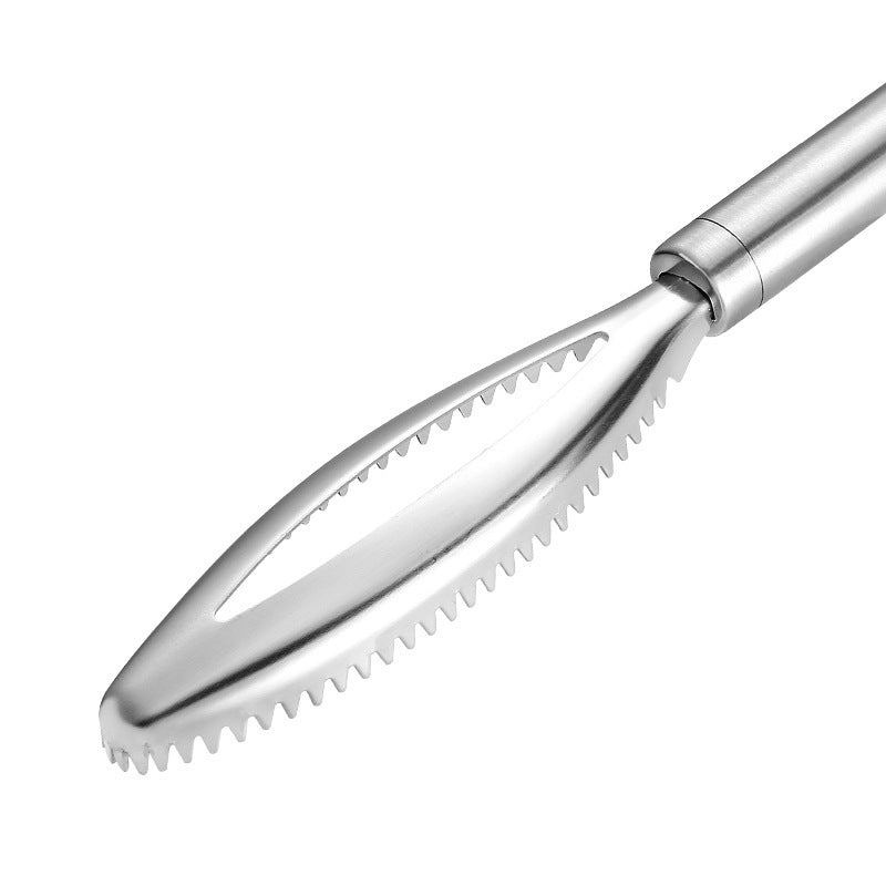 430 Stainless Steel Scale Removing Artifact Fish Killing Tool Kitchen Gadgets - Zambeel