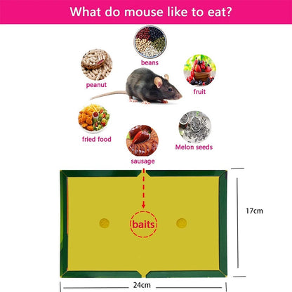 Mouse & Rat Lure Glue Traps