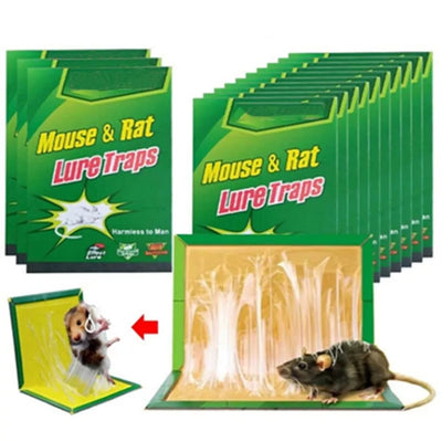 Mouse & Rat Lure Glue Traps