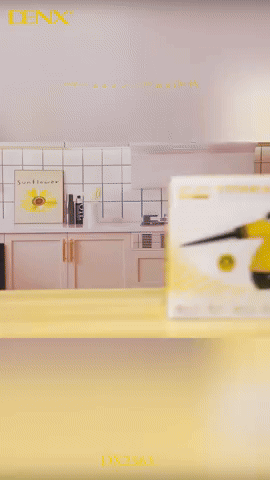 دنكس - منظف بالبخار