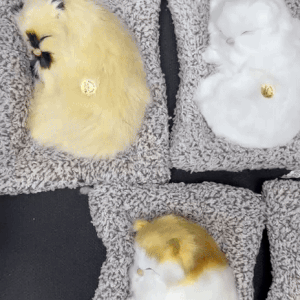 لعبة قطة نائمة محشوة بالصوت