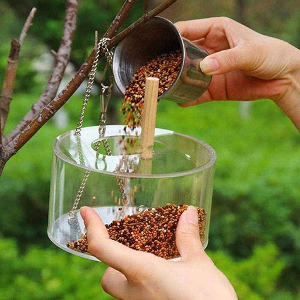 Acrylic Bird Food Box - Zambeel