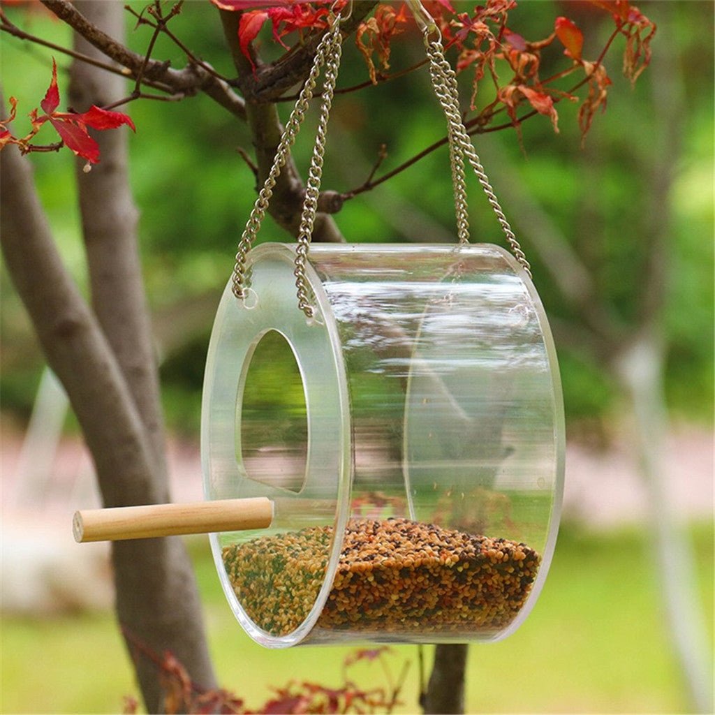 Acrylic Bird Food Box - Zambeel