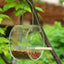 Acrylic Bird Food Box - Zambeel