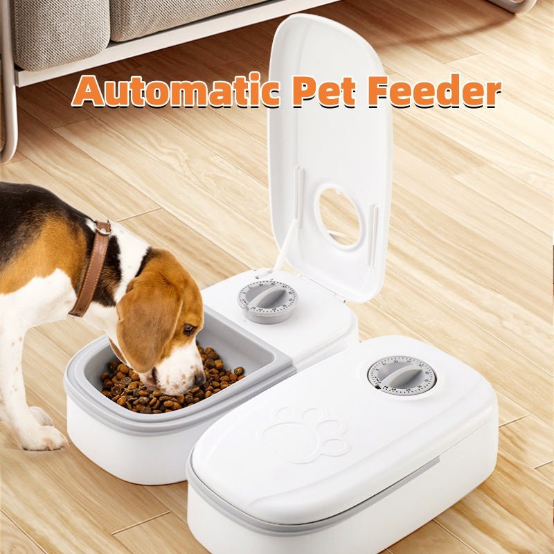 Automatic Pet Feeder Smart Food Dispenser For Cats Dogs Timer Stainless Steel Bowl Auto Dog Cat Pet Feeding Pets Supplies - Zambeel