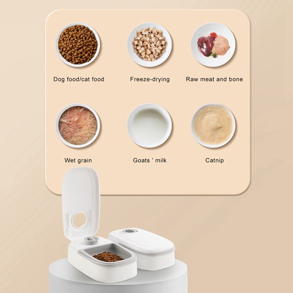 Automatic Pet Feeder Smart Food Dispenser For Cats Dogs Timer Stainless Steel Bowl Auto Dog Cat Pet Feeding Pets Supplies - Zambeel