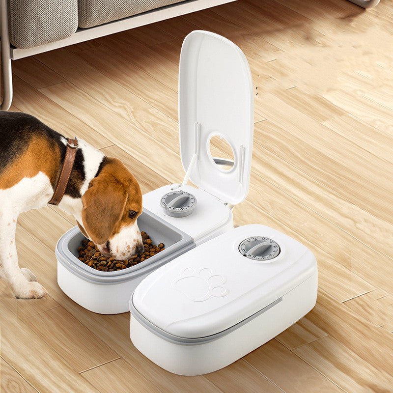 Automatic Pet Feeder Smart Food Dispenser For Cats Dogs Timer Stainless Steel Bowl Auto Dog Cat Pet Feeding Pets Supplies - Zambeel