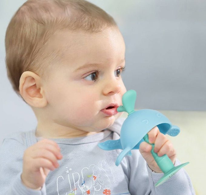 Baby Teething Toy - Zambeel