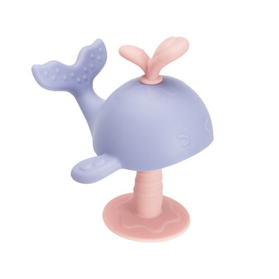 Baby Teething Toy - Zambeel