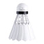 Badminton Mini Humidifier - Zambeel