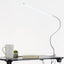 Bedside Reading Work Desk Lamp Clip - Zambeel