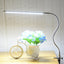Bedside Reading Work Desk Lamp Clip - Zambeel