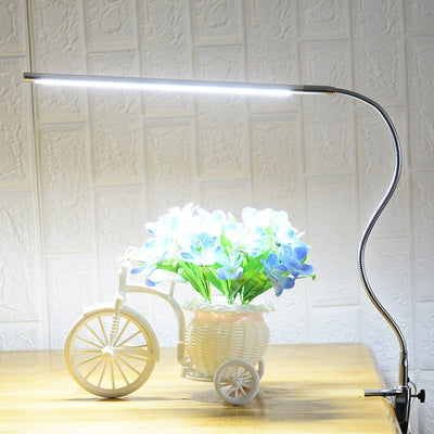 Bedside Reading Work Desk Lamp Clip - Zambeel