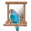 Bird Stand With Mirror - Zambeel