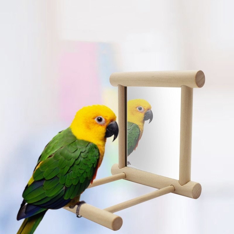 Bird Stand With Mirror - Zambeel
