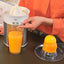 Braun - Citrus Juicer© - Zambeel