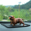 Bully Dog Car Decoration - Zambeel