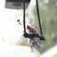 Car Ornaments Creative Cute Branch Cat Rearview Mirror Pendant - Zambeel