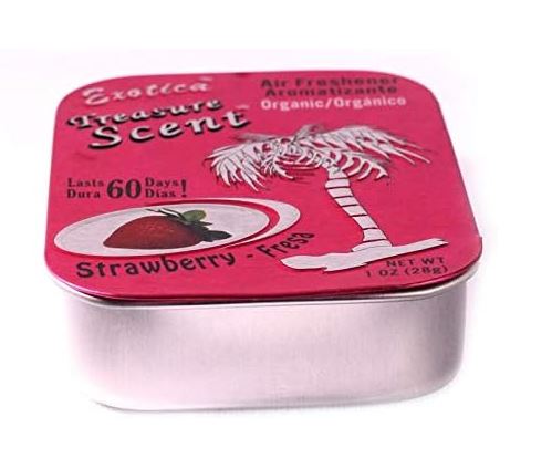 Car Treasure Scent (28g) - Zambeel