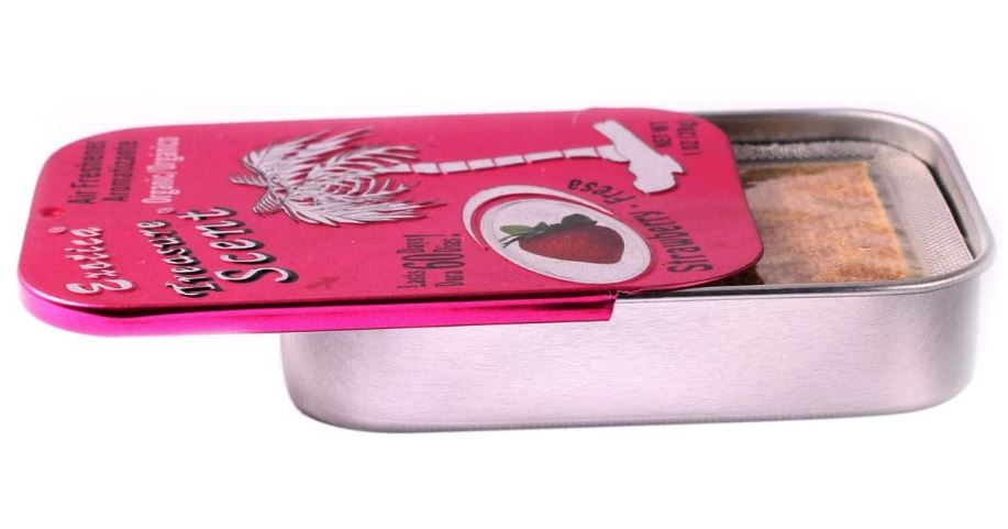 Car Treasure Scent (28g) - Zambeel