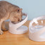 Cat Bowl Pet Diagonal Mouth To Protect Cervical Vertebra Pet Food Basin - Zambeel