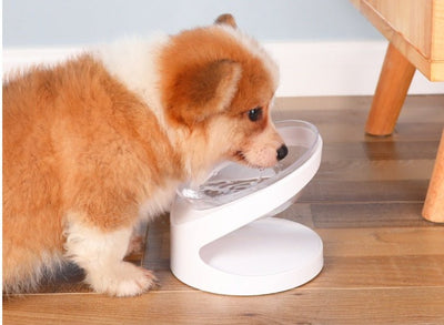 Cat Bowl Pet Diagonal Mouth To Protect Cervical Vertebra Pet Food Basin - Zambeel