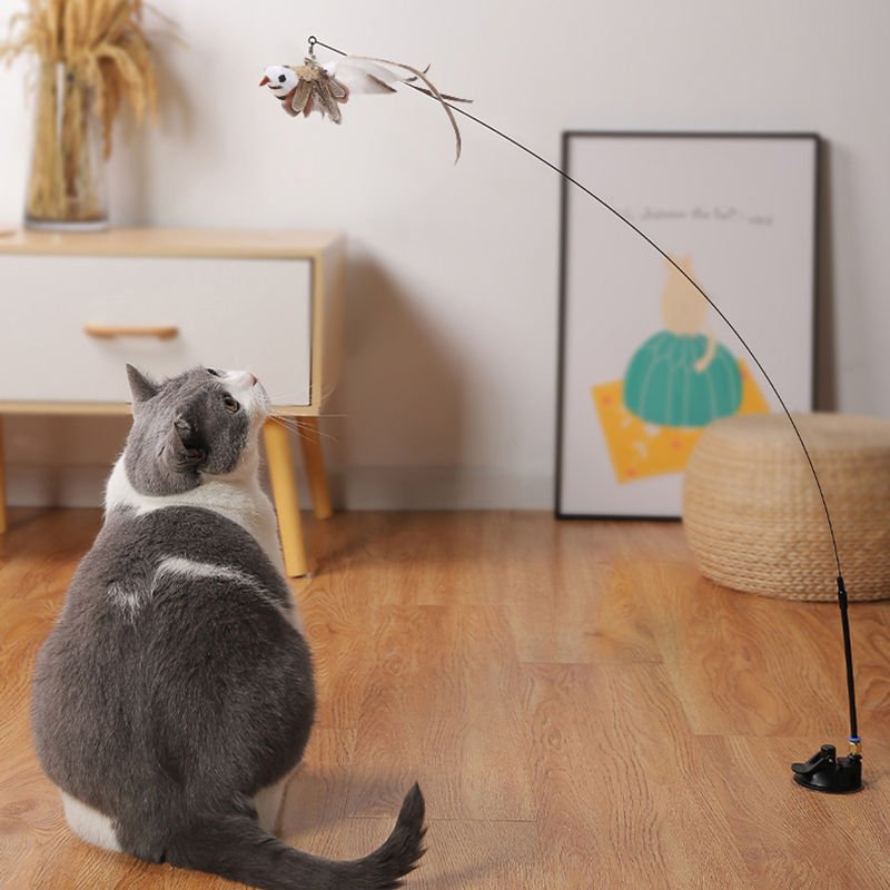 Cat Teaser Stick Can Replace The Head Steel Wire Feather Pole Can Replace Toys - Zambeel