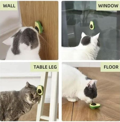 Catnip Lick Ball Toy - Zambeel