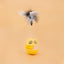 Cats Feather Toy Rotate Cat Tumbler Teaser Catmint Roller Track Ball Interaction Kitten Chasing Hunting Pets Toy Cats Treat Pet Products - Zambeel
