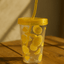 Citrus Slice Cup with Straw - Zambeel