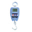 Compact Digital Hanging Scale - Zambeel