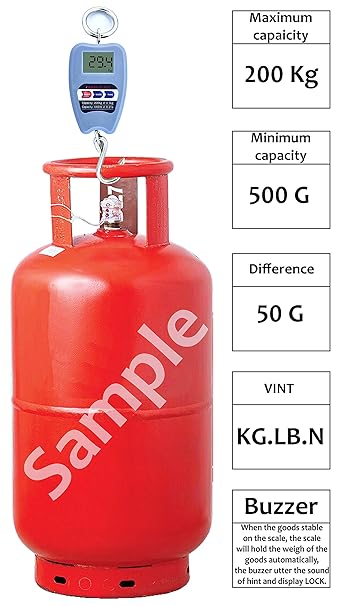 Compact Digital Hanging Scale - Zambeel